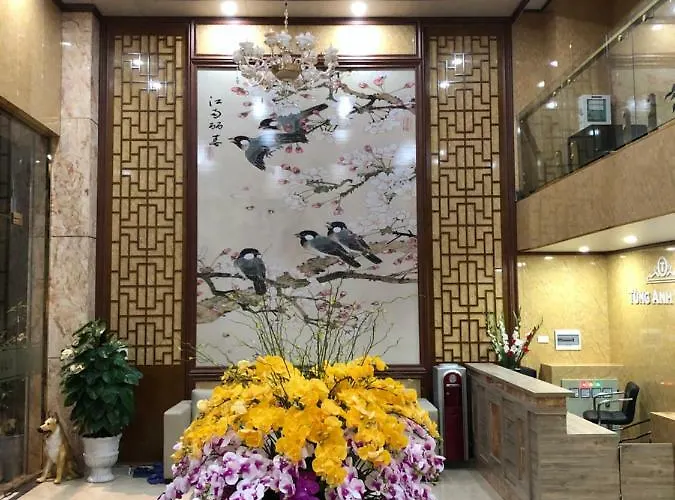 Hotel Tung Anh