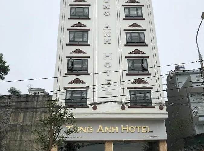 Tung Anh